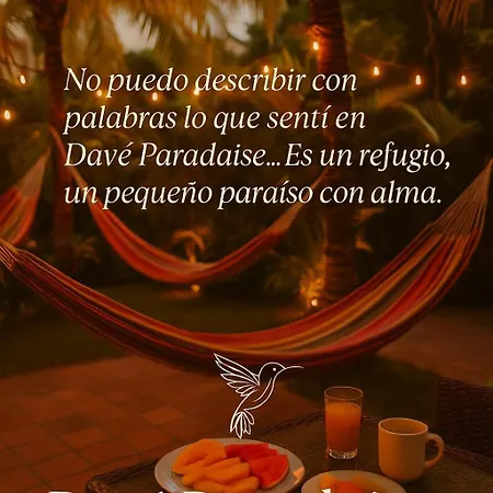 Dave Paradise 2